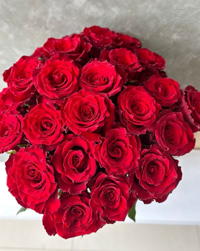 Born Free | Red Rose