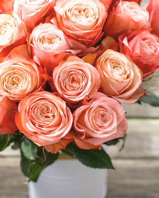 Kahala | Orange Garden Flower Type