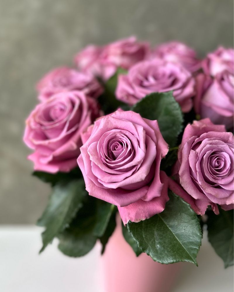 Amatista | Lavender Rose