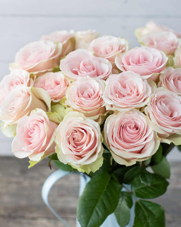 Frutteto | Light Pink Rose