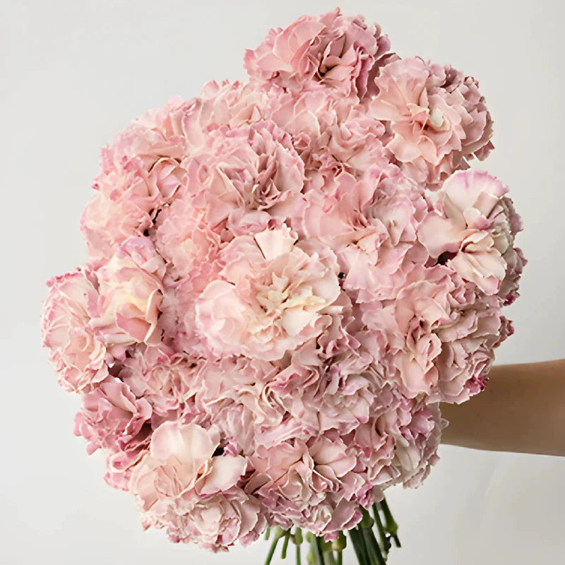 Vintage Pink Wedding Flower Carnation