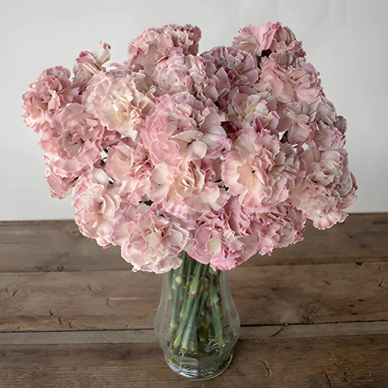 Vintage Pink Wedding Flower Carnation