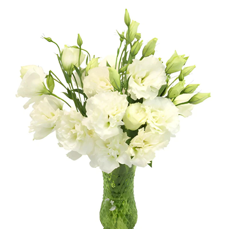 White Designer Lisianthus Flower